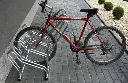 Cross live.webp